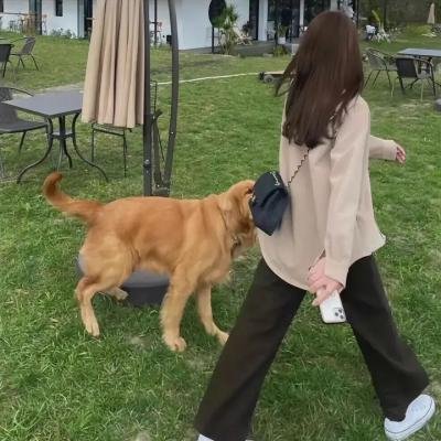儍佬寻春